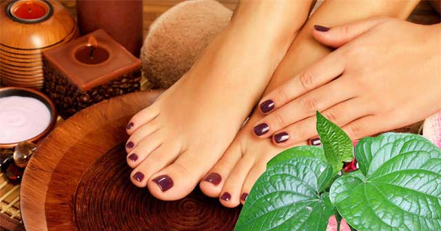 Bí quyết vàng điều trị bệnh gout không phải ai cũng biết
