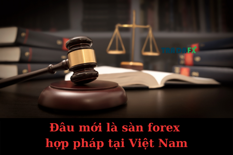 Đâu Mới Là Sàn Forex Hợp Pháp Tại Việt Nam?