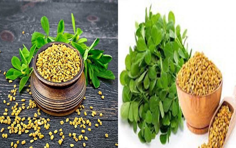 Học phương pháp trị mất ngủ độc đáo từ người Ấn Độ